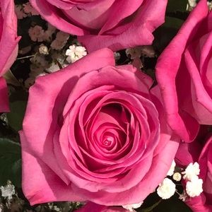 Meet your Posher, Tiffany